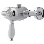 Manual Shower Valve