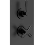 Twin Thermostatic Shower Valve