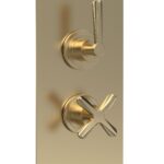 Twin Thermostatic Shower Valve With Diverter