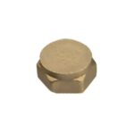 BF300 brass cap 2"
