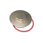 Immersion htr plug & washer brass 2.1/4"