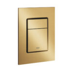 37535GN0 Skate Cosmo Small Flush Plate Brushed Cool Sunrise