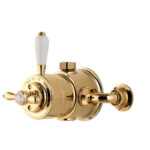 Aqualisa Aquatique Surface Mounted Valve Gold