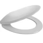 Fresssh Georgia Plus Soft Close Seat Only White