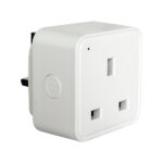 Single Smart Plug - With Energy Metering