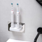 Proofvision In-Wall Twin Electric T/Brush Chrger c/w B/Brass Plate