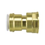 S-F brass cylinder adaptor 22 x1" FEMALE