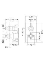 Twin Thermostatic Shower Valve With Diverter - Image 2