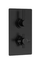 Twin Thermostatic Shower Valve With Diverter