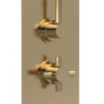 Twin Thermostatic Shower Valve