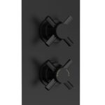 Twin Thermostatic Shower Valve With Diverter