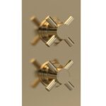 Twin Thermostatic Shower Valve