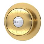 Brushed Brass Dual Flush Button