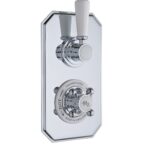 Twin Thermostatic Shower Valve
